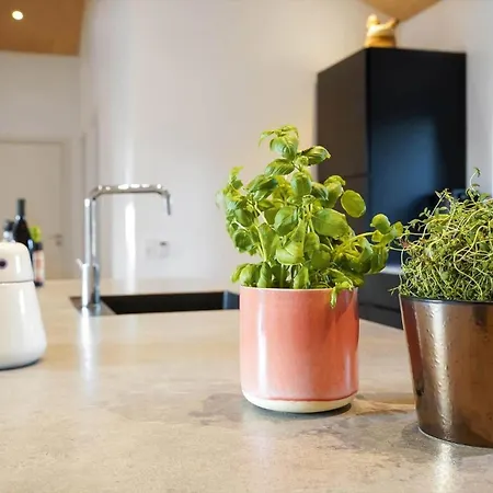 Bv414-blavand-horns-bjerge-10 Nyaraló