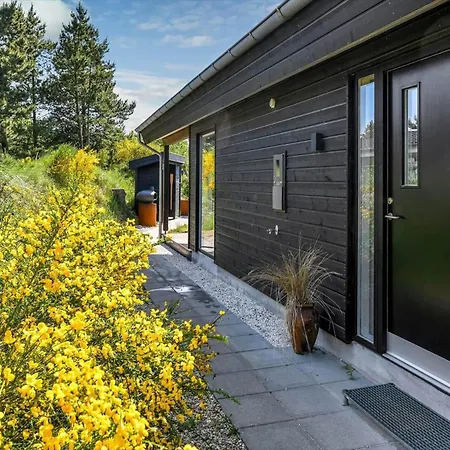 Bv414-blavand-horns-bjerge-10 Nyaraló