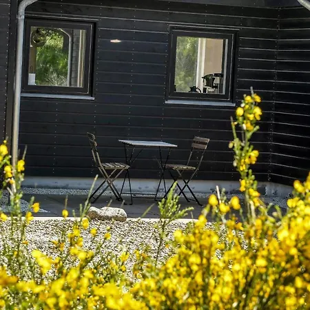 Semesterbostad Bv414-blavand-horns-bjerge-10 *
