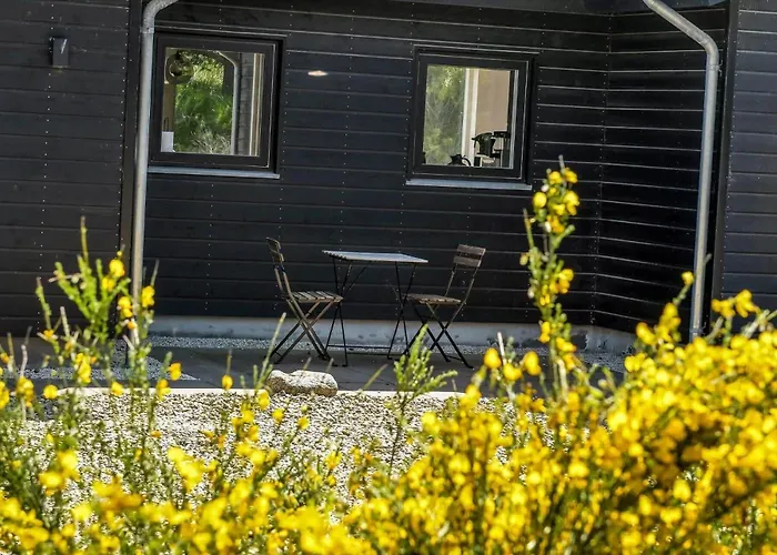 Holiday home Bv414-blavand-horns-bjerge-10 *